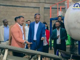 ምርታማነትን የማሳደግ ተስፋ የተጣለበት የተፈጥሮ ማዳበሪያ ፋብሪካ በማምረት ላይ ነው።