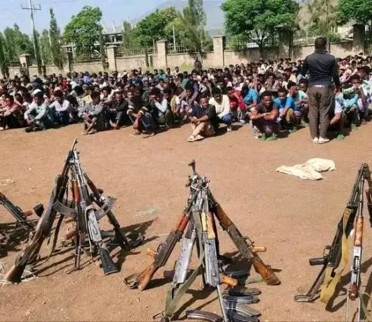 በደቡብ ወሎ ዞን ታጣቂዎች የሰላም አማራጭን እየተከተሉ ነው።