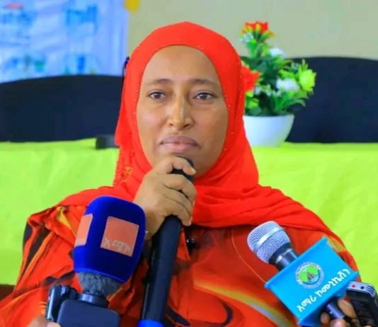 🚀 ቀጣሪ ድርጅቶችን እና ተመራቂዎችን በማገናኘት የሥራ ዕድል መፍጠር ወሳኝ መፍትሔ ነው። ✨