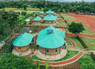 🏘️ ከሃሳብ ወደ ተግባር የኢትዮጵያ የገጠር ኮሪደር ልማት! 🇪🇹