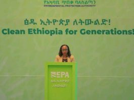 ” መንግሥት ዘላቂ ልማትን ለማረጋገጥ ስትራቴጂካዊ ፖሊሲዎችን እና ፕሮግራሞችን በቁርጠኝነት እየተገበረ ነው” ፍጹም አሰፋ (ዶ.ር