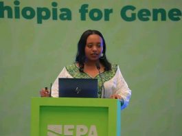 ለጽዱ ኢትዮጵያ ንቅናቄ ስኬታማነት በትኩረት መሥራት ይገባል።