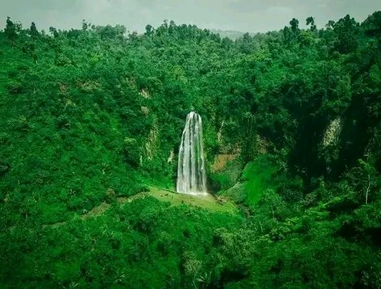” ከተፈጥሮ ልምላሜ ጀርባ ያለው የሕልውና ጥሪ” 🌍