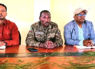 ” በድርጊታችን ተጸጽተናል” የሰላም አማራጭን የተቀበሉ ታጣቂዎች