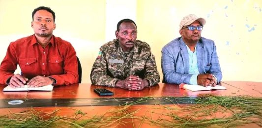 ” በድርጊታችን ተጸጽተናል” የሰላም አማራጭን የተቀበሉ ታጣቂዎች