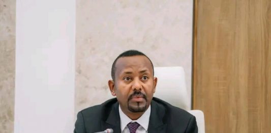“የውጭ ግንኙነታችን የኢትዮጵያን የውሳኔ ሉዓላዊነት ማስጠበቅ መሠረት ያደረገ ነው” ጠቅላይ ሚኒስትር ዐቢይ አሕመድ (ዶ.ር)