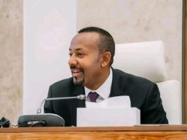 ኢትዮጵያ ቀጣይነት ያለው የኢኮኖሚ ዕድገት አስመዝግባለች።
