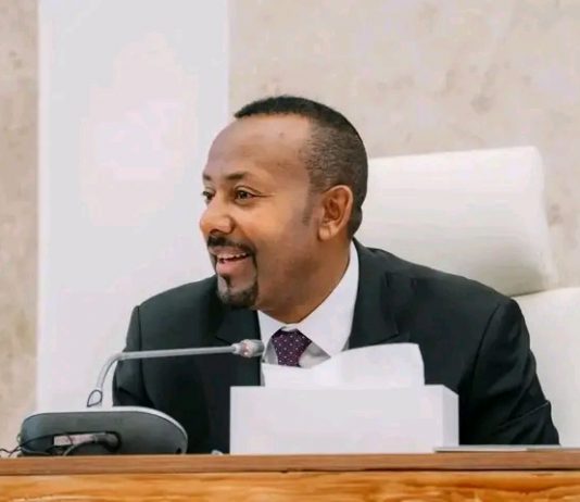 ኢትዮጵያ ቀጣይነት ያለው የኢኮኖሚ ዕድገት አስመዝግባለች።