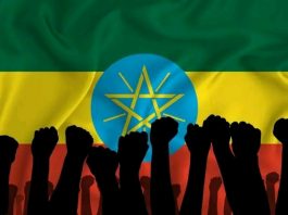 ከታሪካዊ ጠላቶች እስከ ውስጣዊ ባንዳዎች፤ የጽምዶ ሴራ እና የኢትዮጵያ ዝግጁነት
