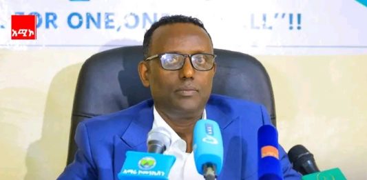 በዘንድሮው የአልማ ሳምንት ሰፊ ሃብት ለማሠባሠብ ታቅዷል።