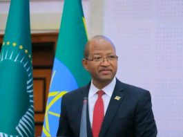ኢትዮጵያ ሽብርተኝነትን፣ ሕገወጥ የሰዎች ዝውውርን እና ሌሎች የደኅንነት ስጋቶችን ለመከላከል በትኩረት እየሠራች ነው።