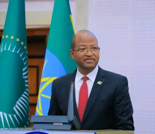 ኢትዮጵያ ሽብርተኝነትን፣ ሕገወጥ የሰዎች ዝውውርን እና ሌሎች የደኅንነት ስጋቶችን ለመከላከል በትኩረት እየሠራች ነው።