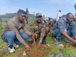በምሥራቅ እዝ አንድ ኮር የሠራዊቱ መሪዎች ከእስቴ ወረዳ ማኅበረሰብ ጋር ችግኝ ተክለዋል።