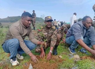 በምሥራቅ እዝ አንድ ኮር የሠራዊቱ መሪዎች ከእስቴ ወረዳ ማኅበረሰብ ጋር ችግኝ ተክለዋል።