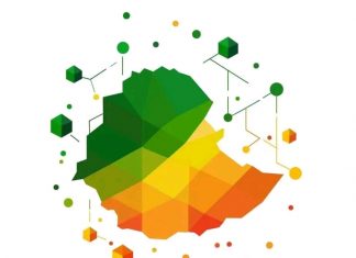 🚀 የኢትዮጵያ የዲጂታላይዜሽን ሽግግር የት ላይ ነው?