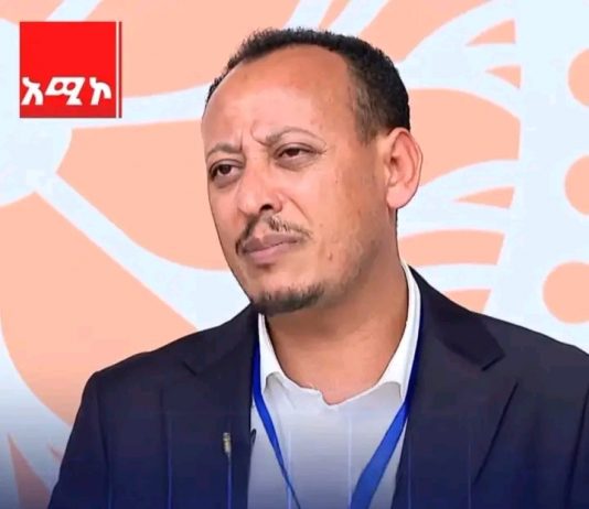 “በመሳሪያ የሚፈታ ችግር የለም፤ ችግሮች በምክክር እንዲፈቱ የምክክር ኮሚሽኑ አንድ አካል እንሁን” ካፒቴን ማስረሻ ሰጤ