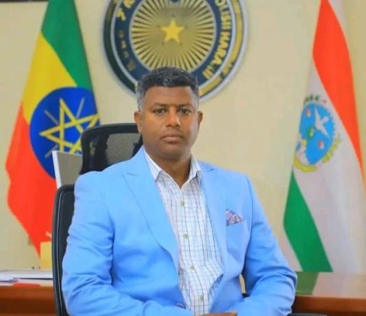 ማኅበረሰብ አቀፍ ፖሊስ እና የደኅንነት ካሜራዎች የሀረሪ ክልልን ሰላም ለማረጋገጥ ከፍተኛ አስተዋጽኦ አበርክተዋል።