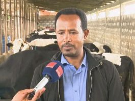 በአማራ ክልል በእንስሳት እና ዓሳ ሀብት ልማት ያለውን እምቅ አቅም ለመጠቀም እየተሠራ ነው።