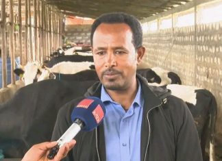 በአማራ ክልል በእንስሳት እና ዓሳ ሀብት ልማት ያለውን እምቅ አቅም ለመጠቀም እየተሠራ ነው።