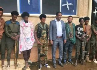 “ኢትዮጵያን ለማፈራረስ ከሚሠሩ ታሪካዊ ጠላቶቻችንን ጋር በጋራ አንሠራም” የሰላም አማራጭን የተቀበሉ ታጣቂዎች