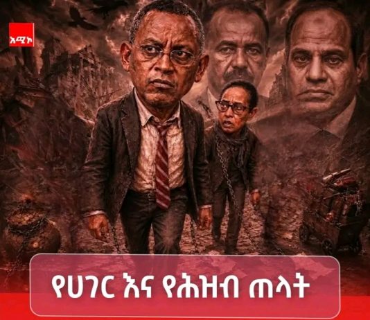 🚨 ሕገወጡ ሕወሃት የጸረ ኢትዮጵያ ኃይሎች ፈረስ ነው።