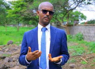 🌱 አረንጓዴ አሻራ፤ ከችግኝ ተከላ ዘመቻነት ወደ ዘላቂ የኢኮኖሚ እና የሥነ-ምሕዳር ግንባታ!