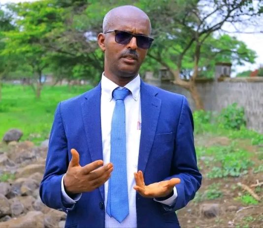 🌱 አረንጓዴ አሻራ፤ ከችግኝ ተከላ ዘመቻነት ወደ ዘላቂ የኢኮኖሚ እና የሥነ-ምሕዳር ግንባታ!