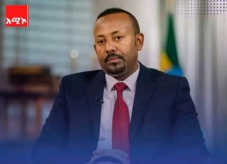 “የሀገር ግንባታ ዋልታዎች”