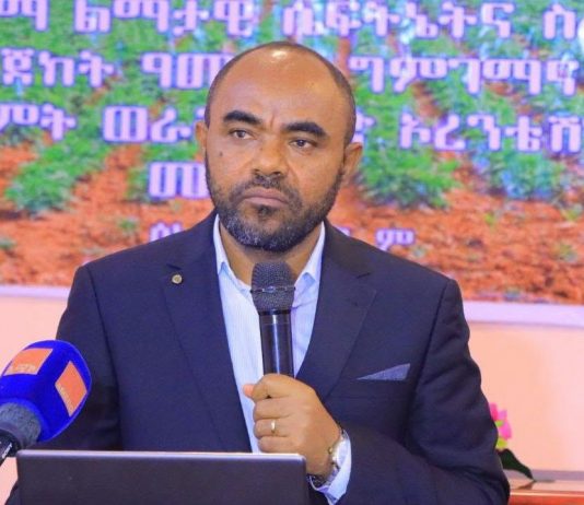 የከተሞች ልማታዊ ሴፍቲኔት ድህነትን እየቀነሰ ነው።