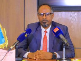 ስምምነቱ ኢትዮጵያ በአቪየሽን ዘርፍ የያዘችውን ራዕይ የሚያሳካ ነው።
