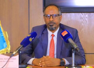 ስምምነቱ ኢትዮጵያ በአቪየሽን ዘርፍ የያዘችውን ራዕይ የሚያሳካ ነው።