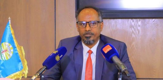 ስምምነቱ ኢትዮጵያ በአቪየሽን ዘርፍ የያዘችውን ራዕይ የሚያሳካ ነው።