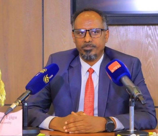 ስምምነቱ ኢትዮጵያ በአቪየሽን ዘርፍ የያዘችውን ራዕይ የሚያሳካ ነው።