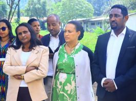 “ባለሀብቱን እና ኅብረተሰቡን በማሳተፍ የልማት ሥራዎችን ማፋጠን ይገባል” ሙሉነሽ ደሴ ( ዶ.ር)