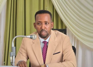 ዘላቂ ሰላምን ለመገንባት በተሠራው ሥራ በርካታ የታጠቁ አካላት ወደ ሰላም እንዲመጡ ተደርጓል።