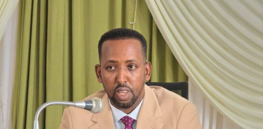 ዘላቂ ሰላምን ለመገንባት በተሠራው ሥራ በርካታ የታጠቁ አካላት ወደ ሰላም እንዲመጡ ተደርጓል።