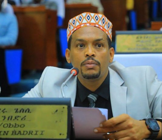 የሐረር ከተማ የኮሪደር ልማት፤ የመሠረተ ልማት ሽግግር እና የወደፊት ተስፋ