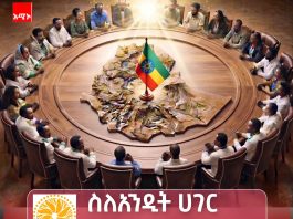 የመጨረሻ ደቂቃዎች- በኢትዮጵያ የምክክር ብርሃን !