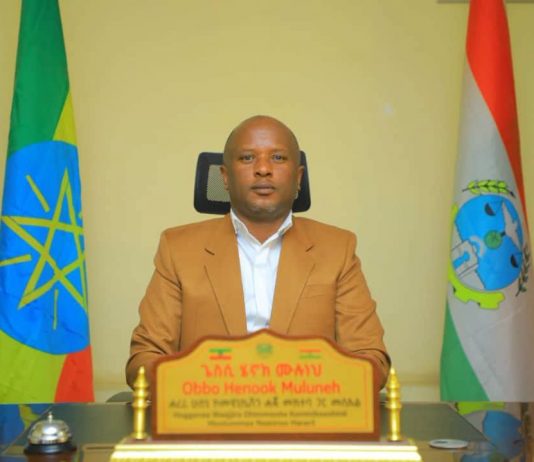 ታላቁ ሩጫ ሀረር የቱሪስት መዳረሻነቷን የበለጠ እንድታልቅ ከፍተኛ አስተዋጽኦ አለው።