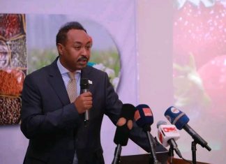 የሆርቲ ካልቸር ምርቶችን ጥራት በማረጋገጥ የውጭ ምንዛሬ ገቢን ለማሳደግ እየተሠራ ነው።