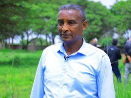 ችግኞችን ከመትከል ባሻገር ለጽድቀት በልዩ ትኩረት እየተሠራ ነው።