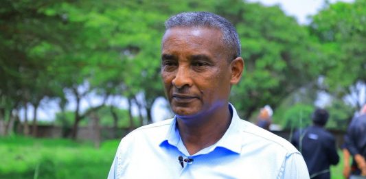 ችግኞችን ከመትከል ባሻገር ለጽድቀት በልዩ ትኩረት እየተሠራ ነው።