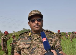 🇪🇹የጸረ ሰላም ኅይሎች እንቅስቃሴ በሠራዊቱ እርምጃ እየከሰመ ነው