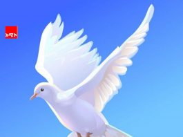 “ሰላምን አጥብቆ በመያዝ ምሳሌ እንሁን” የሃይማኖት አባቶች