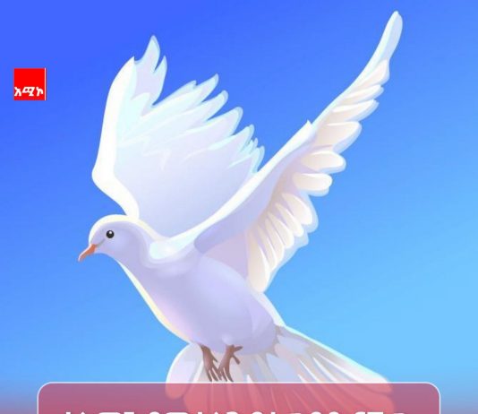 “ሰላምን አጥብቆ በመያዝ ምሳሌ እንሁን” የሃይማኖት አባቶች