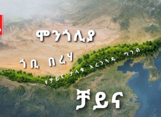 ቻይና በአረንጓዴ ግንብ፣ ኢትዮጵያ ደግሞ በአረንጓዴ አሻራ የምድርን ጤና ጠብቀዋል።