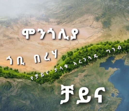 ቻይና በአረንጓዴ ግንብ፣ ኢትዮጵያ ደግሞ በአረንጓዴ አሻራ የምድርን ጤና ጠብቀዋል።