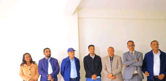 “የደብረ ማርቆስ ከተማ የሰላም ችግሩን ቀልብሳ ልማት ላይ ትገኛለች”