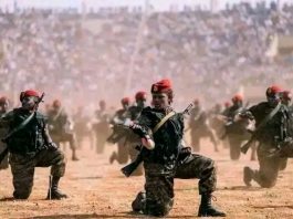 ከታሪካዊ ጠላቶች እስከ ውስጣዊ ባንዳዎች፤ የጽምዶ ሴራ እና የኢትዮጵያ ዝግጁነት