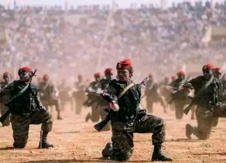 ከታሪካዊ ጠላቶች እስከ ውስጣዊ ባንዳዎች፤ የጽምዶ ሴራ እና የኢትዮጵያ ዝግጁነት